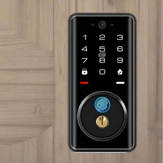 Keyless Smart Lock Access Point Touch