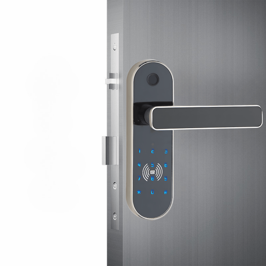 Keyless Mini SmartKey Pro Smart Lock