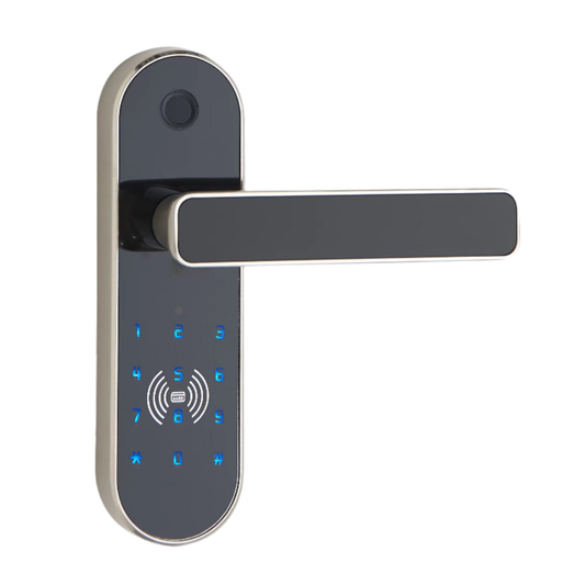 Keyless Mini SmartKey Pro Smart Lock